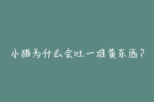 小猫为什么会吐一堆黄东西？