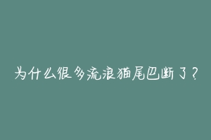 为什么很多流浪猫尾巴断了？