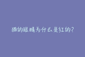 猫的眼睛为什么是红的？