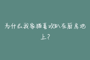 为什么我家猫喜欢趴在厨房地上？