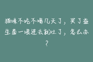 猫咪不吃不喝几天了，买了益生菌一喂进去就吐了，怎么办？