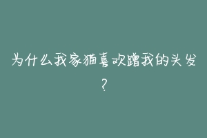 为什么我家猫喜欢蹭我的头发？