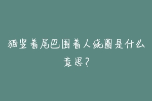 猫竖着尾巴围着人绕圈是什么意思？