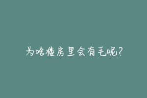 为啥楼房里会有毛呢？