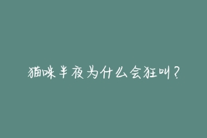 猫咪半夜为什么会狂叫？