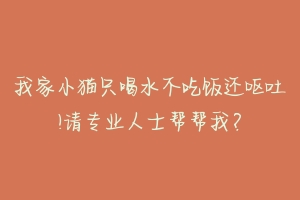 我家小猫只喝水不吃饭还呕吐!请专业人士帮帮我？