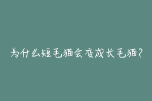 为什么短毛猫会变成长毛猫？