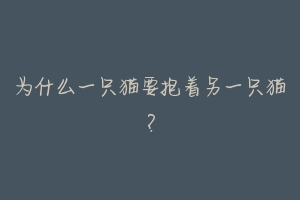 为什么一只猫要抱着另一只猫？