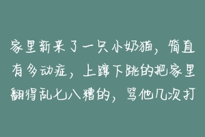 家里新来了一只小奶猫，简直有多动症，上蹿下跳的把家里翻得乱七八糟的，骂他几次打了几次，现在老是咬我？