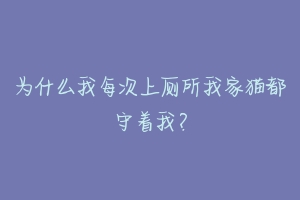 为什么我每次上厕所我家猫都守着我？