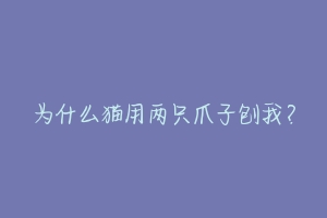 为什么猫用两只爪子刨我？