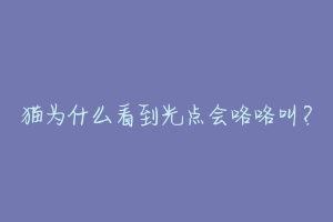 猫为什么看到光点会咯咯叫？