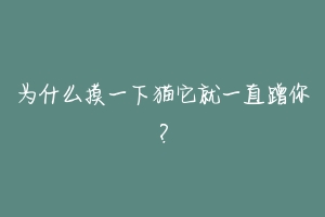 为什么摸一下猫它就一直蹭你？