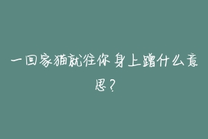 一回家猫就往你身上蹭什么意思？