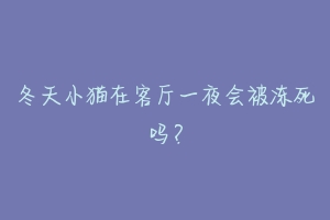 冬天小猫在客厅一夜会被冻死吗？