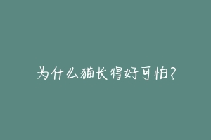 为什么猫长得好可怕？