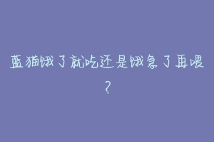 蓝猫饿了就吃还是饿急了再喂？