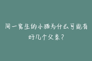 同一窝生的小猫为什么可能有好几个父亲？