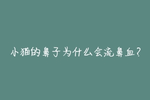 小猫的鼻子为什么会流鼻血？