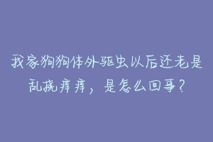 我家狗狗体外驱虫以后还老是乱挠痒痒，是怎么回事？