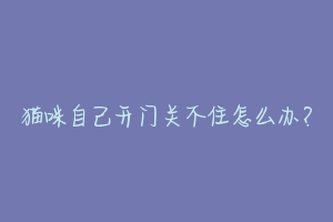 猫咪自己开门关不住怎么办？