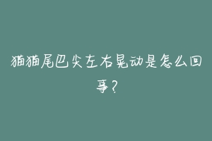 猫猫尾巴尖左右晃动是怎么回事？