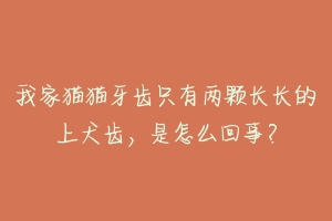 我家猫猫牙齿只有两颗长长的上犬齿，是怎么回事？