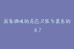 我家猫咪的尾巴又很多黑色的点？