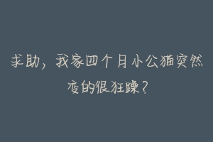 求助，我家四个月小公猫突然变的很狂躁？