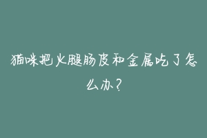 猫咪把火腿肠皮和金属吃了怎么办？