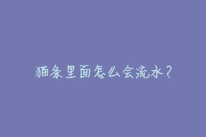 猫条里面怎么会流水？