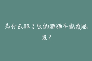 为什么驱了虫的猫猫不能摸脑袋？