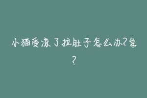 小猫受凉了拉肚子怎么办?急？