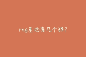 rng基地有几个猫？