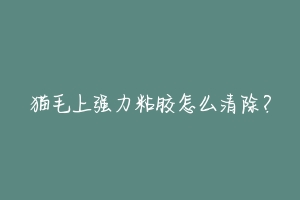 猫毛上强力粘胶怎么清除？