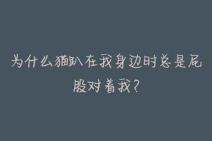 为什么猫趴在我身边时总是屁股对着我？