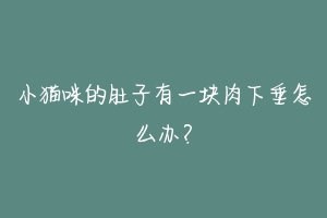 小猫咪的肚子有一块肉下垂怎么办？