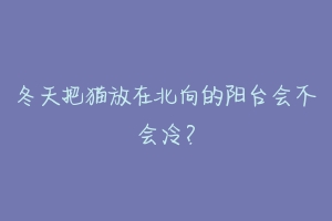 冬天把猫放在北向的阳台会不会冷？