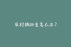 农村猫挑食怎么办？