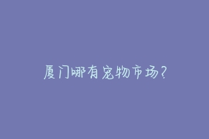 厦门哪有宠物市场？