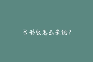 弓形虫怎么来的？