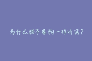 为什么猫不象狗一样听话？