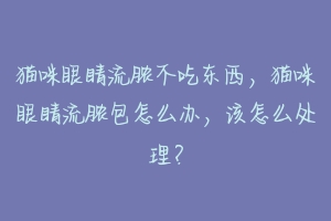 猫咪眼睛流脓不吃东西，猫咪眼睛流脓包怎么办，该怎么处理？