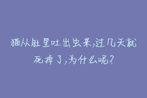 猫从肚里吐出虫来,过几天就死掉了,为什么呢？