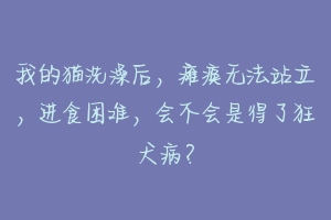 我的猫洗澡后，瘫痪无法站立，进食困难，会不会是得了狂犬病？