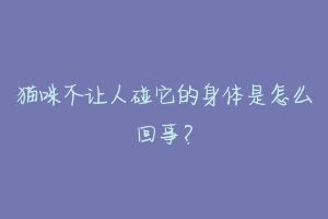 猫咪不让人碰它的身体是怎么回事？