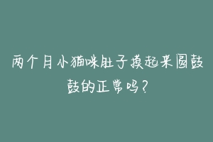 两个月小猫咪肚子摸起来圆鼓鼓的正常吗？