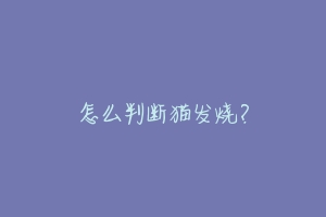 怎么判断猫发烧？