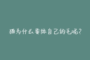 猫为什么要舔自己的毛呢？