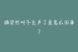 猫突然叫不出声了是怎么回事？